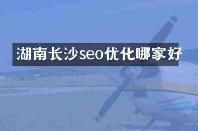湖南长沙seo优化哪家好