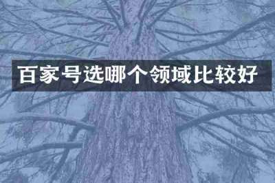百家号选哪个领域比较好