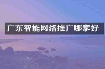 广东智能网络推广哪家好