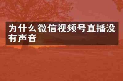 为什么微信视频号直播没有声音