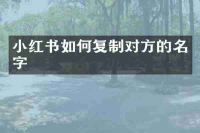 小红书如何复制对方的名字