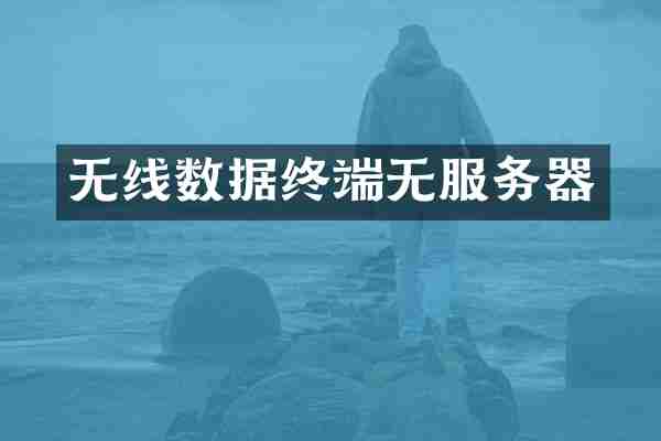 无线数据终端无服务器