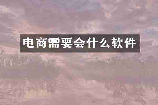 电商需要会什么软件