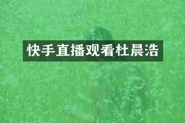 快手直播观看杜晨浩