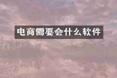 电商需要会什么软件