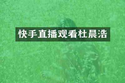 快手直播观看杜晨浩