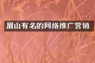 眉山有名的网络推广营销