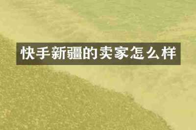 快手新疆的卖家怎么样