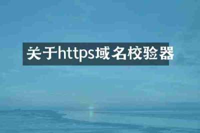 关于https域名校验器