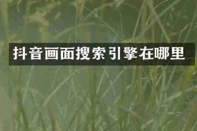 抖音画面搜索引擎在哪里