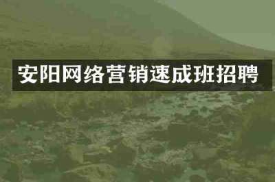 安阳网络营销速成班招聘