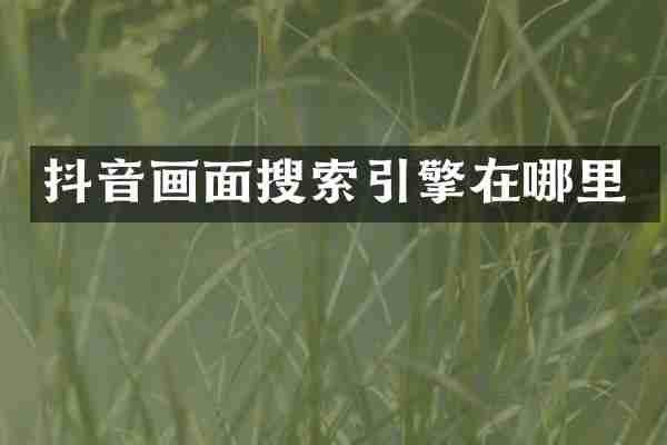 抖音画面搜索引擎在哪里