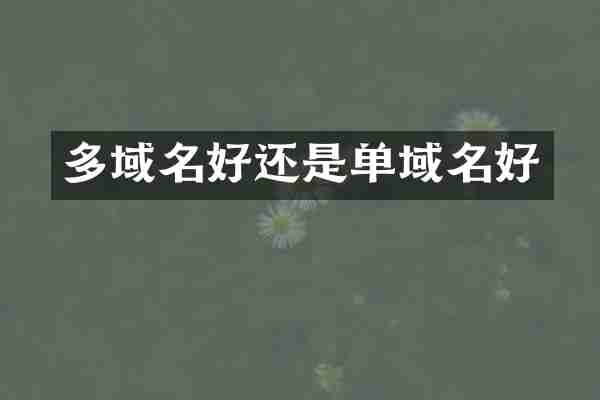 多域名好还是单域名好