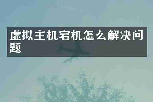虚拟主机宕机怎么解决问题