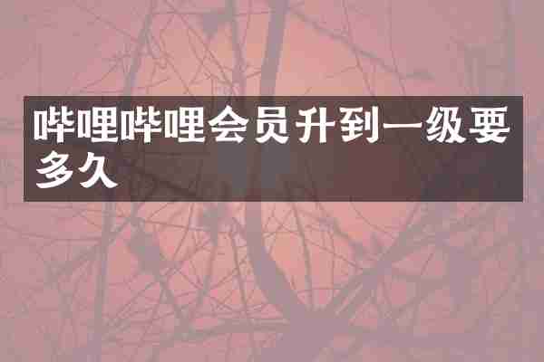 哔哩哔哩会员升到一级要多久