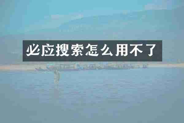 必应搜索怎么用不了