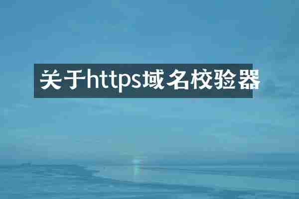 关于https域名校验器