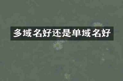 多域名好还是单域名好