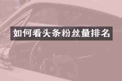 如何看头条粉丝量排名