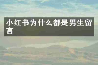 小红书为什么都是男生留言