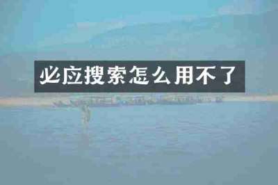 必应搜索怎么用不了