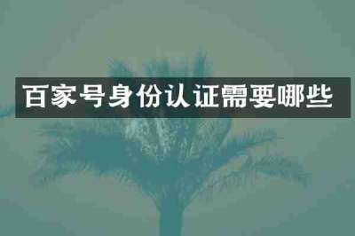 百家号身份认证需要哪些