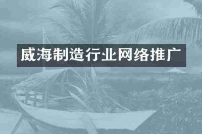 威海制造行业网络推广