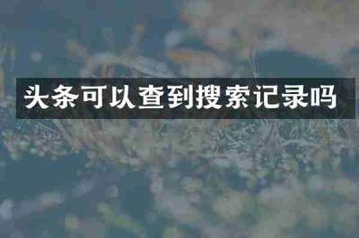 头条可以查到搜索记录吗