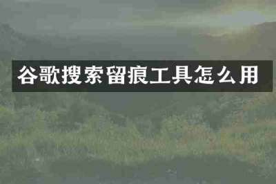 谷歌搜索留痕工具怎么用