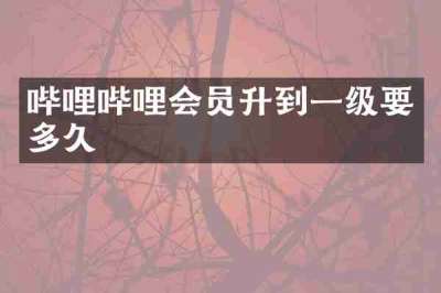 哔哩哔哩会员升到一级要多久