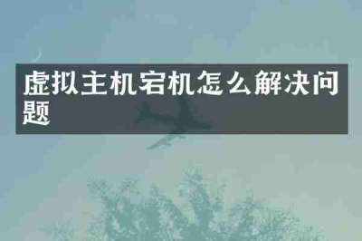 虚拟主机宕机怎么解决问题