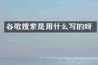 谷歌搜索是用什么写的呀