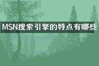 MSN搜索引擎的特点有哪些