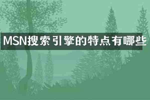 MSN搜索引擎的特点有哪些
