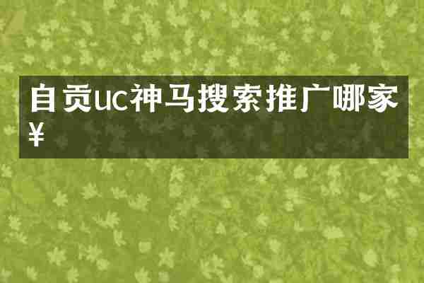自贡uc神马搜索推广哪家好