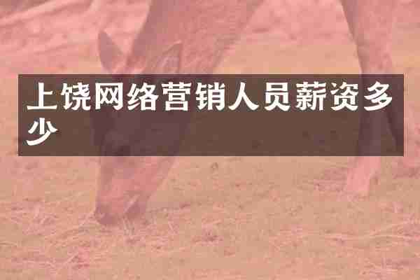 上饶网络营销人员薪资多少