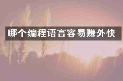 哪个编程语言容易赚外快