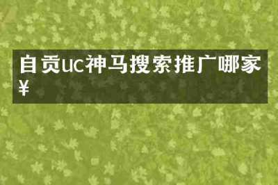 自贡uc神马搜索推广哪家好
