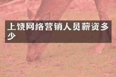 上饶网络营销人员薪资多少