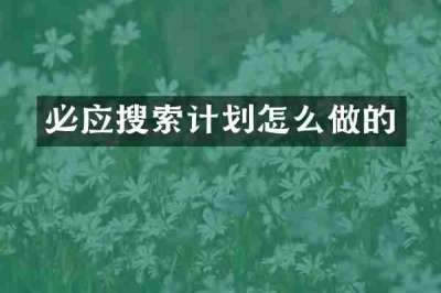 必应搜索计划怎么做的