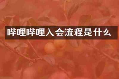 哔哩哔哩入会流程是什么