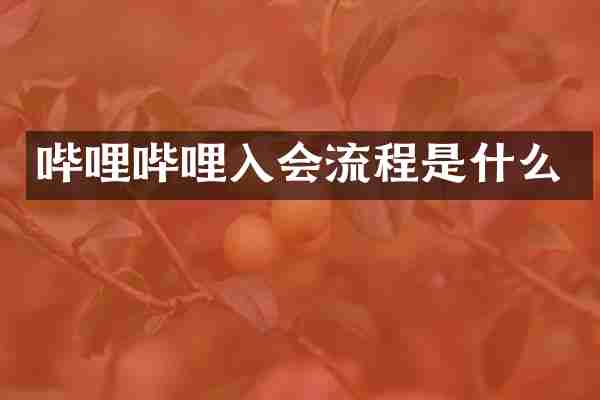 哔哩哔哩入会流程是什么