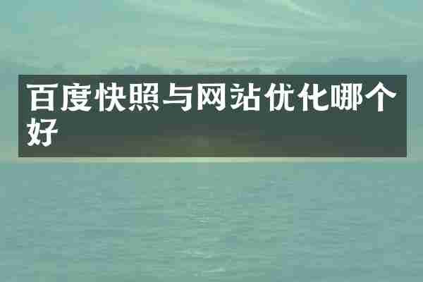 百度快照与网站优化哪个好