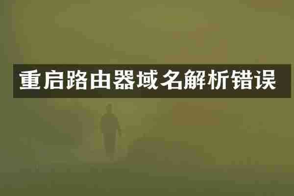 重启路由器域名解析错误