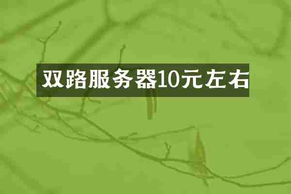 双路服务器10元左右
