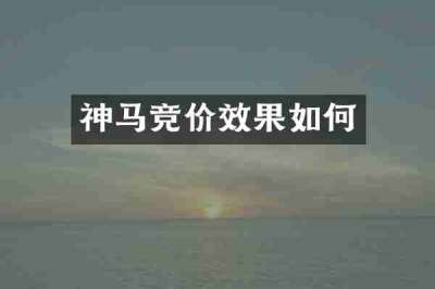 神马竞价效果如何