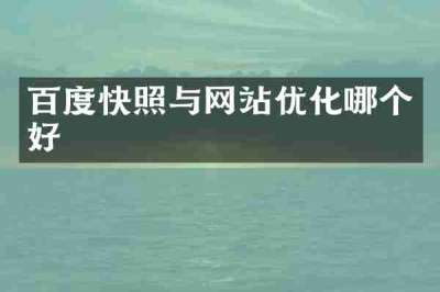 百度快照与网站优化哪个好