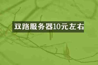 双路服务器10元左右