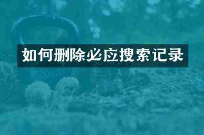 如何删除必应搜索记录