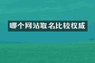 哪个网站取名比较权威